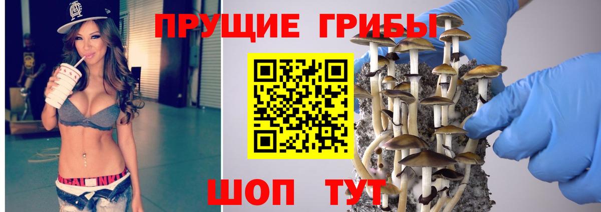 Галлюциногенные грибы мицелий  Вход с VPN  Мичуринск 
